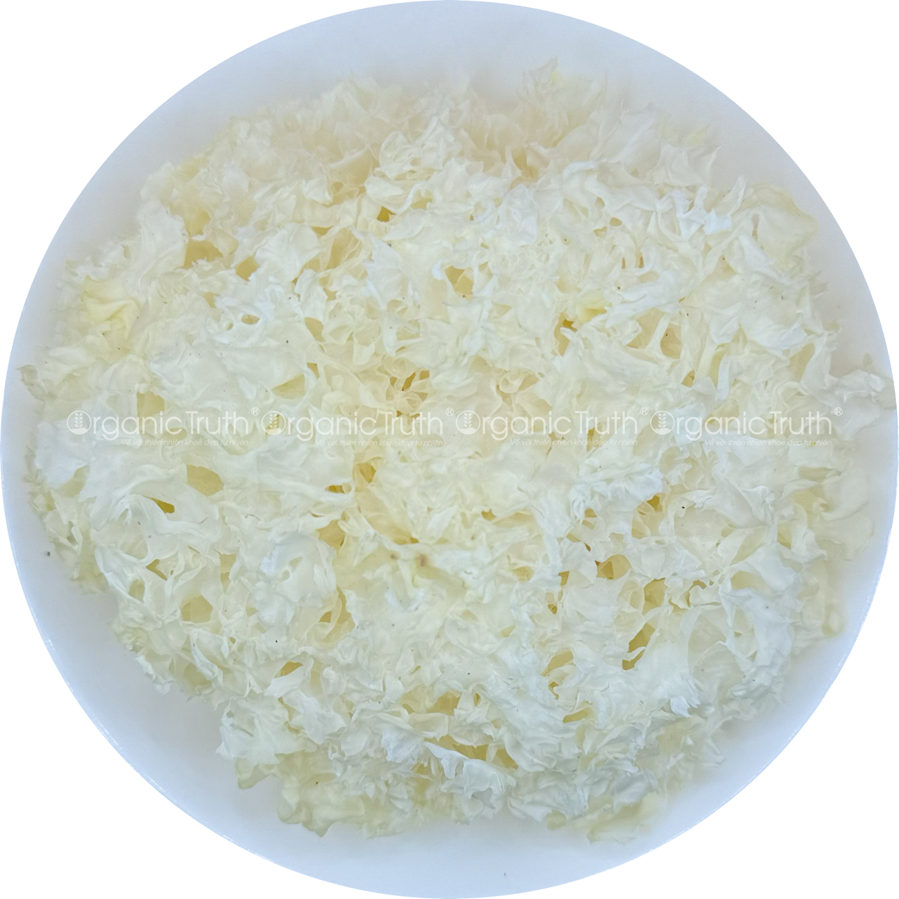 nam-tuyet-organic-truth