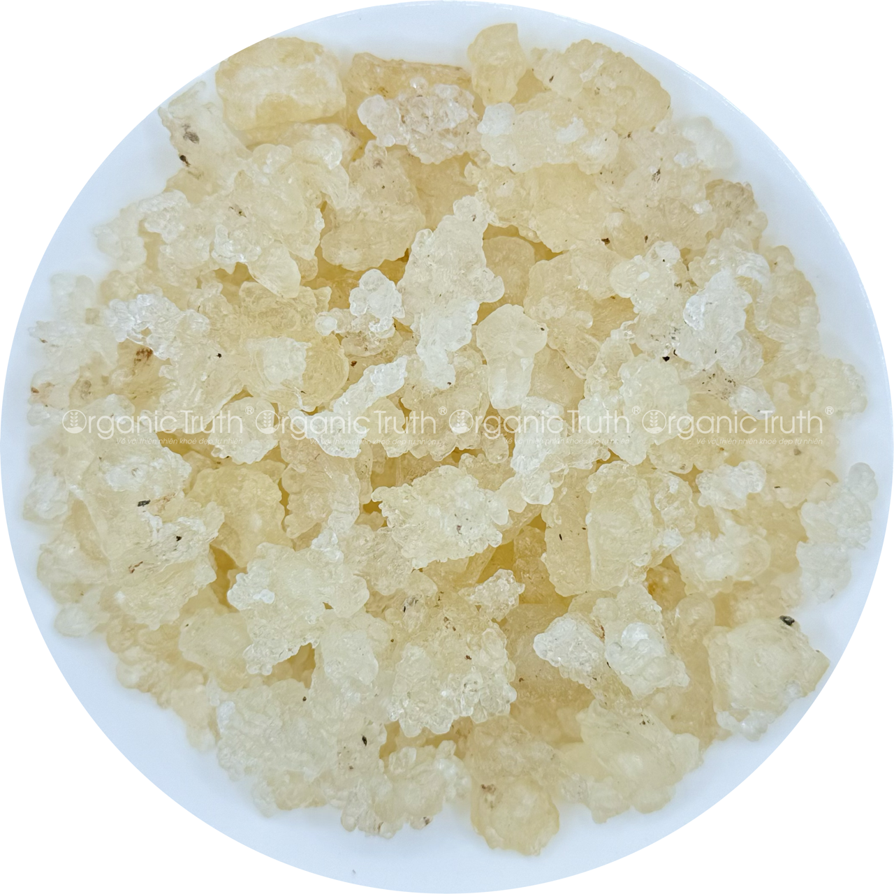 tuyet-yen-organic-truth